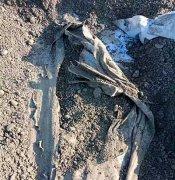 環(huan)保(bao)防(fang)滲工(gong)程(cheng)破損(sun)檢測案例(li)