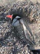 氧(yang)化鋁渣場防(fang)滲膜滲漏檢測（渣場土工(gong)膜滲漏檢