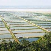 水(shui)池、魚塘(tang)、人(ren)工(gong)湖(hu)防(fang)滲工(gong)程(cheng)案(an)例